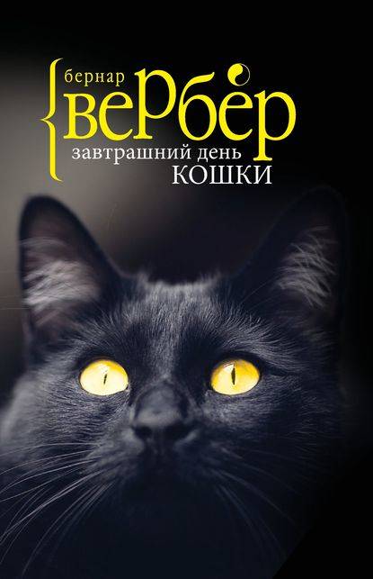 Завтрашний день кошки Завтрашний день кошки