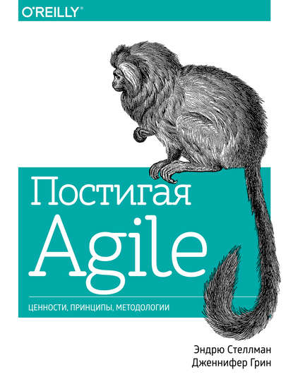 Постигая Agile Постигая Agile