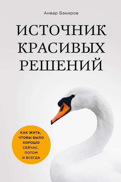 Источник красивых решений. Как жить, чтобы было хорошо сейчас, потом и всегда Источник красивых решений. Как жить, чтобы было хорошо сейчас, потом и всегда