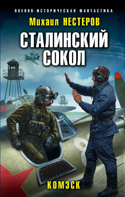 Сталинский сокол. Комэск Сталинский сокол. Комэск