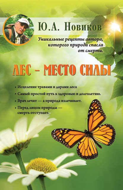 Лес – место силы Лес – место силы