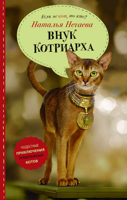 Внук котриарха Внук котриарха