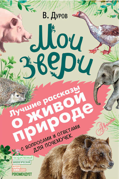 Мои звери. С вопросами и ответами для почемучек Мои звери. С вопросами и ответами для почемучек