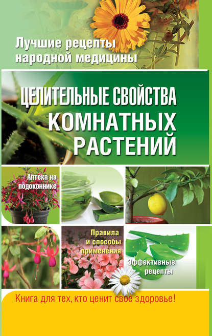 Целительные свойства комнатных растений Целительные свойства комнатных растений