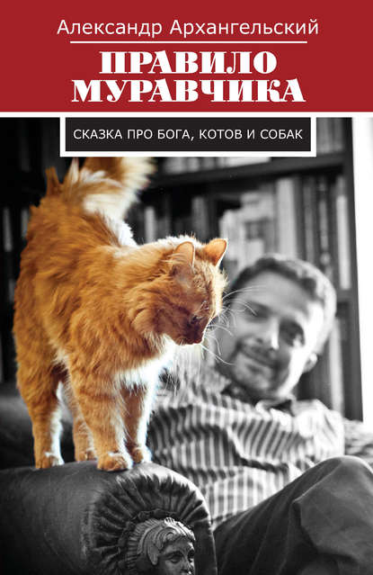 Правило муравчика. Сказка про бога, котов и собак Правило муравчика. Сказка про бога, котов и собак
