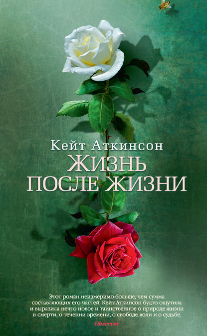 Жизнь после жизни Жизнь после жизни