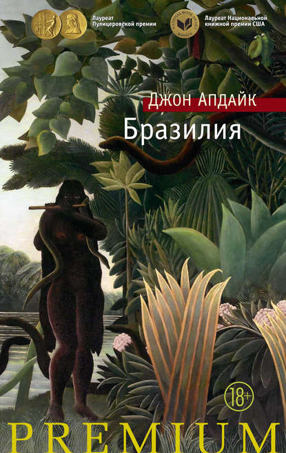 Бразилия Бразилия