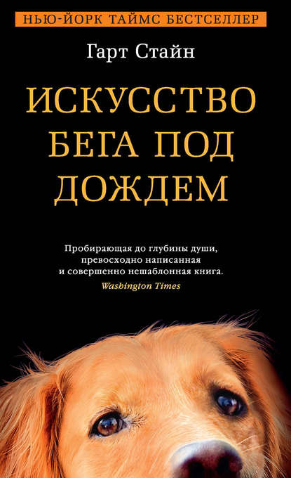 Искусство бега под дождем Искусство бега под дождем