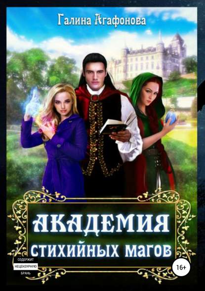 Академия стихийных магов. Книга 1 Академия стихийных магов. Книга 1