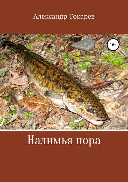 Налимья пора Налимья пора