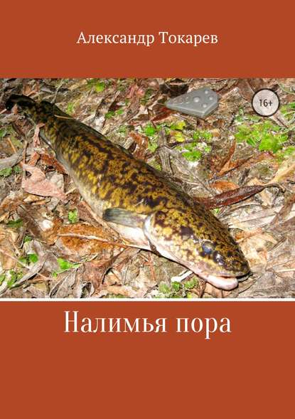 Налимья пора Налимья пора
