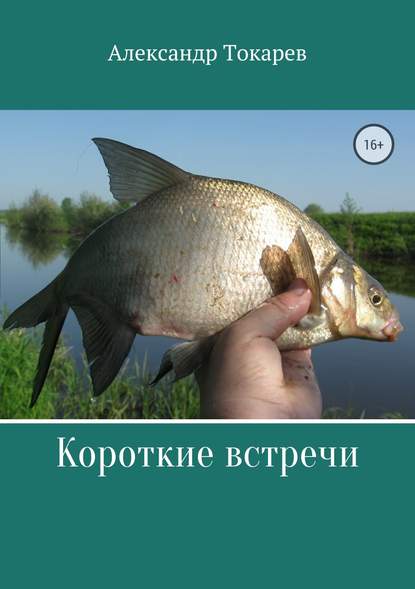 Короткие встречи Короткие встречи