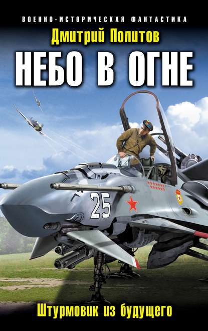 Небо в огне. Штурмовик из будущего Небо в огне. Штурмовик из будущего