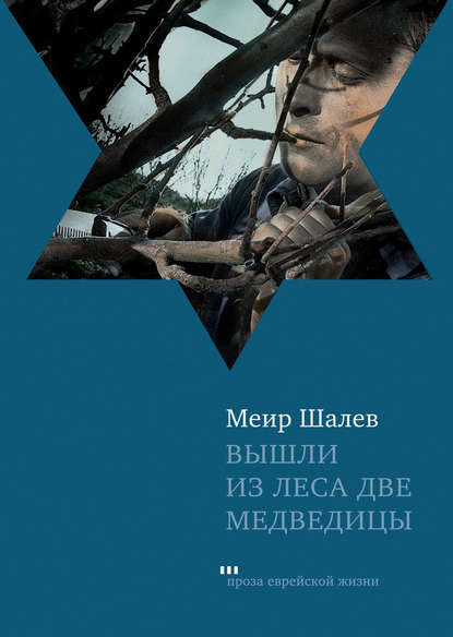 Вышли из леса две медведицы Вышли из леса две медведицы