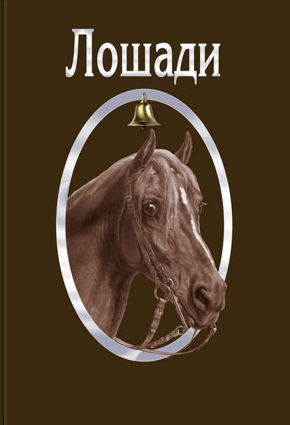 Лошади Лошади