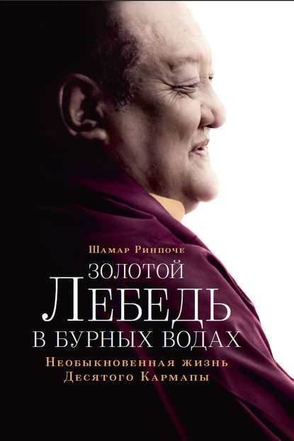 Золотой лебедь в бурных водах. Необыкновенная жизнь Десятого Кармапы Золотой лебедь в бурных водах. Необыкновенная жизнь Десятого Кармапы