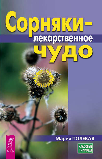 Сорняки – лекарственное чудо Сорняки – лекарственное чудо