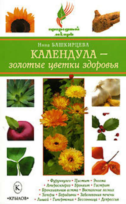 Календула – золотые цветки здоровья Календула – золотые цветки здоровья