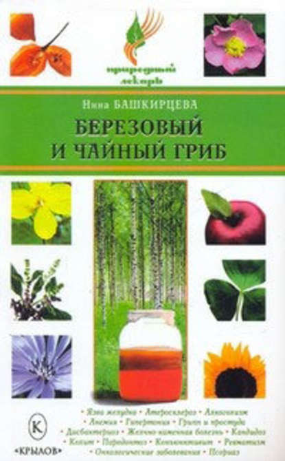 Березовый и чайный гриб Березовый и чайный гриб