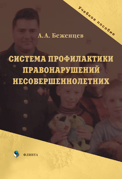 Система профилактики правонарушений несовершеннолетних. Учебное пособие