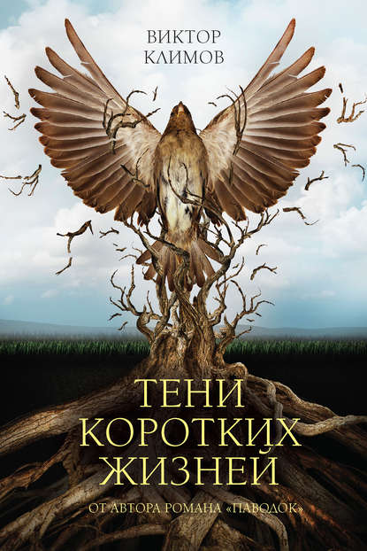 Тени коротких жизней Тени коротких жизней