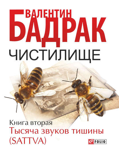 Чистилище. Книга 2. Тысяча звуков тишины (Sattva) Чистилище. Книга 2. Тысяча звуков тишины (Sattva)