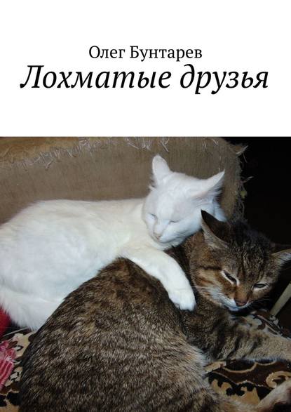 Лохматые друзья Лохматые друзья