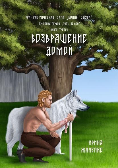 Возвращение домой. Книга третья. Фантастическая сага «Воины света». Трилогия первая «Путь домой» Возвращение домой. Книга третья. Фантастическая сага «Воины света». Трилогия первая «Путь домой»