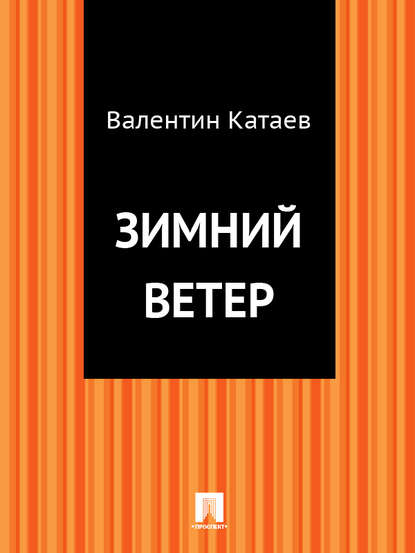 Зимний ветер Зимний ветер