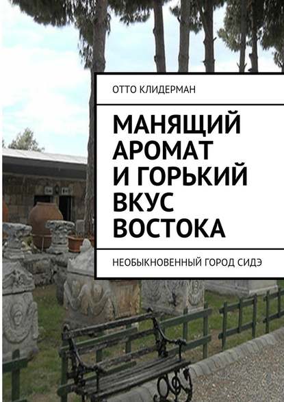 Манящий аромат и горький вкус Востока. Необыкновенный город Сидэ Манящий аромат и горький вкус Востока. Необыкновенный город Сидэ