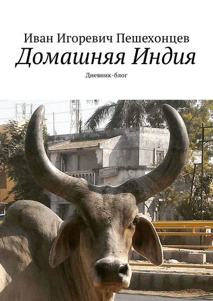 Домашняя Индия. Дневник-блог Домашняя Индия. Дневник-блог