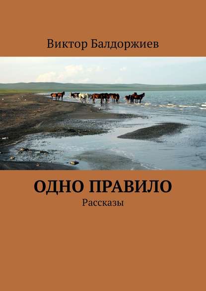 Одно правило. Рассказы Одно правило. Рассказы