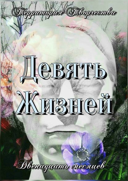 Девять жизней. Двенадцать месяцев Девять жизней. Двенадцать месяцев