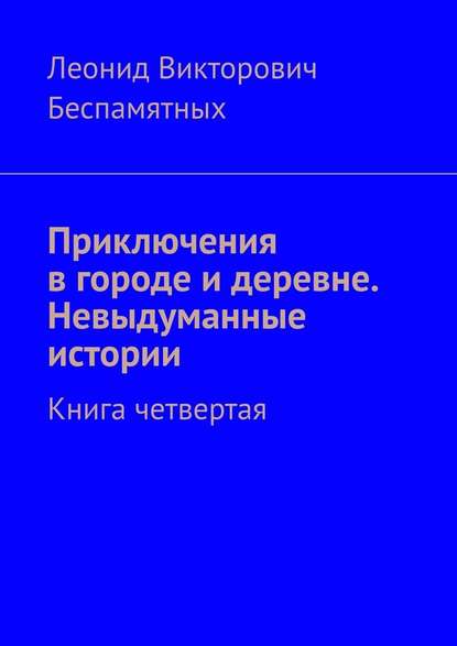 Приключения в городе и деревне. Невыдуманные истории. Книга четвертая Приключения в городе и деревне. Невыдуманные истории. Книга четвертая
