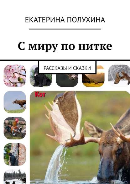 С миру по нитке. Рассказы и сказки С миру по нитке. Рассказы и сказки