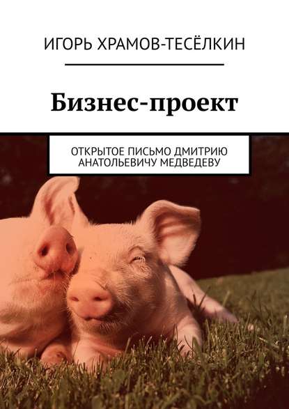 Бизнес-проект. Открытое письмо Дмитрию Анатольевичу Медведеву Бизнес-проект. Открытое письмо Дмитрию Анатольевичу Медведеву