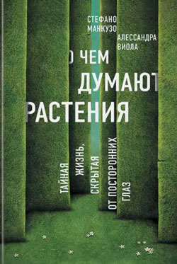 О чем думают растения