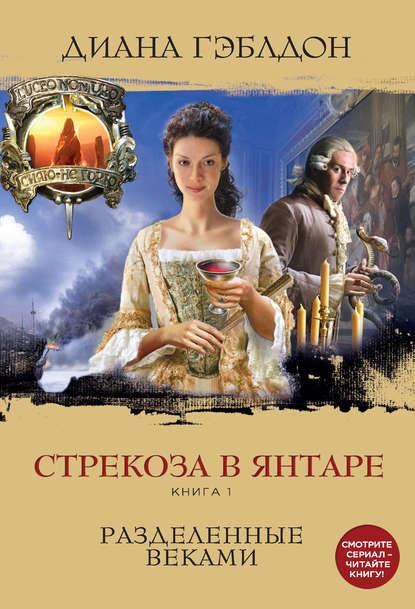 Стрекоза в янтаре. Книга 1. Разделенные веками Стрекоза в янтаре. Книга 1. Разделенные веками